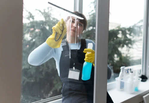 Nettoyage de vitres intérieures et extérieures à Saint-Martin-d'Ordon